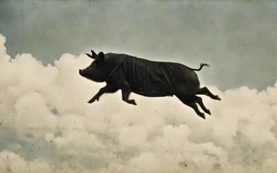 Day 448 – Sunday July 21 2024